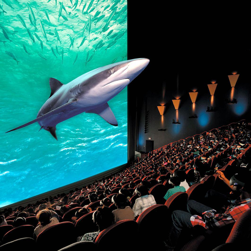 Màn chiếu bạc 3D thông dụng trong rạp chiếu phim